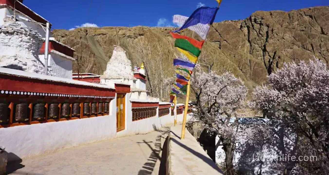 Beautiful 11th century murals and Buddhist artwork inside Alchi Monastery
