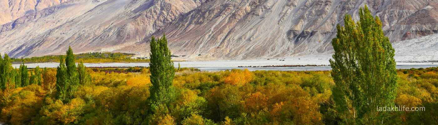 Ladakh Valley