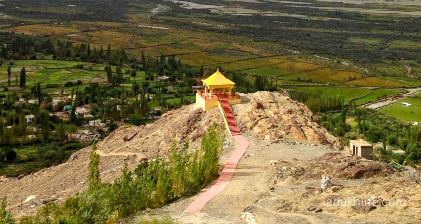 Bactrian double-humped camel safari in Hunder Village Ladakh sand dunes