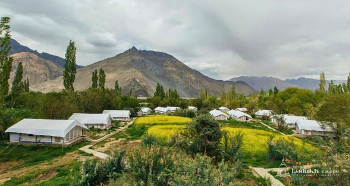 White sand dunes of Hunder Village in Nubra Valley Ladakh with mountains in background
