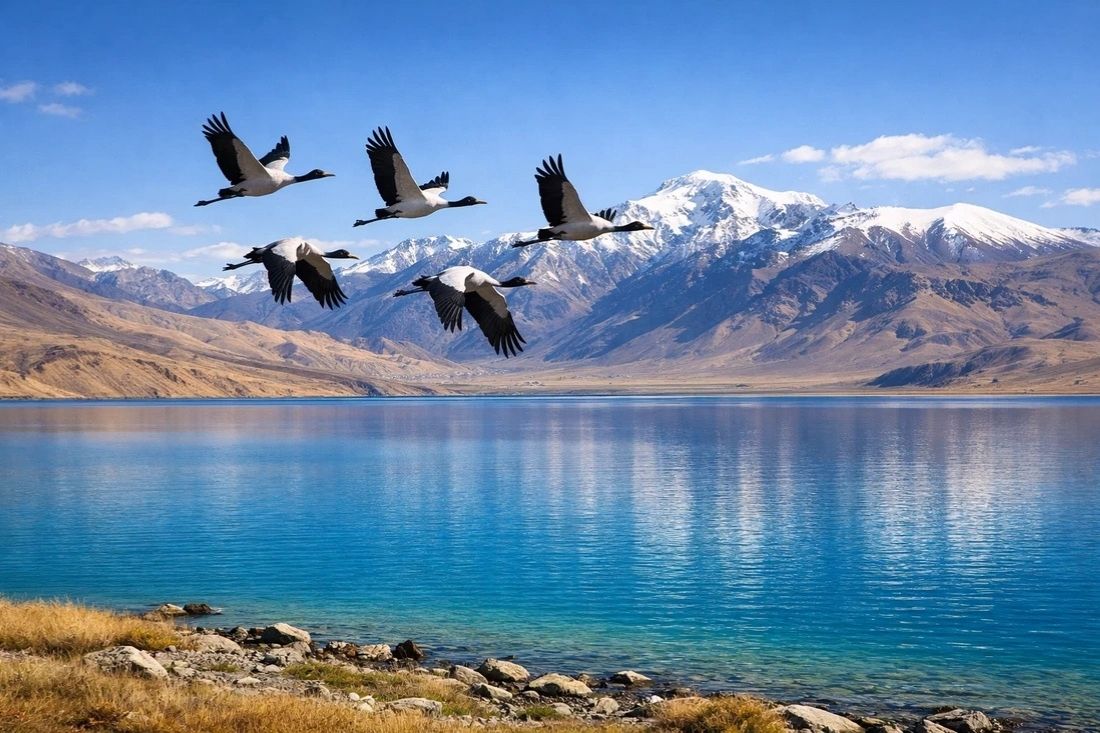 Ladakh Lake
