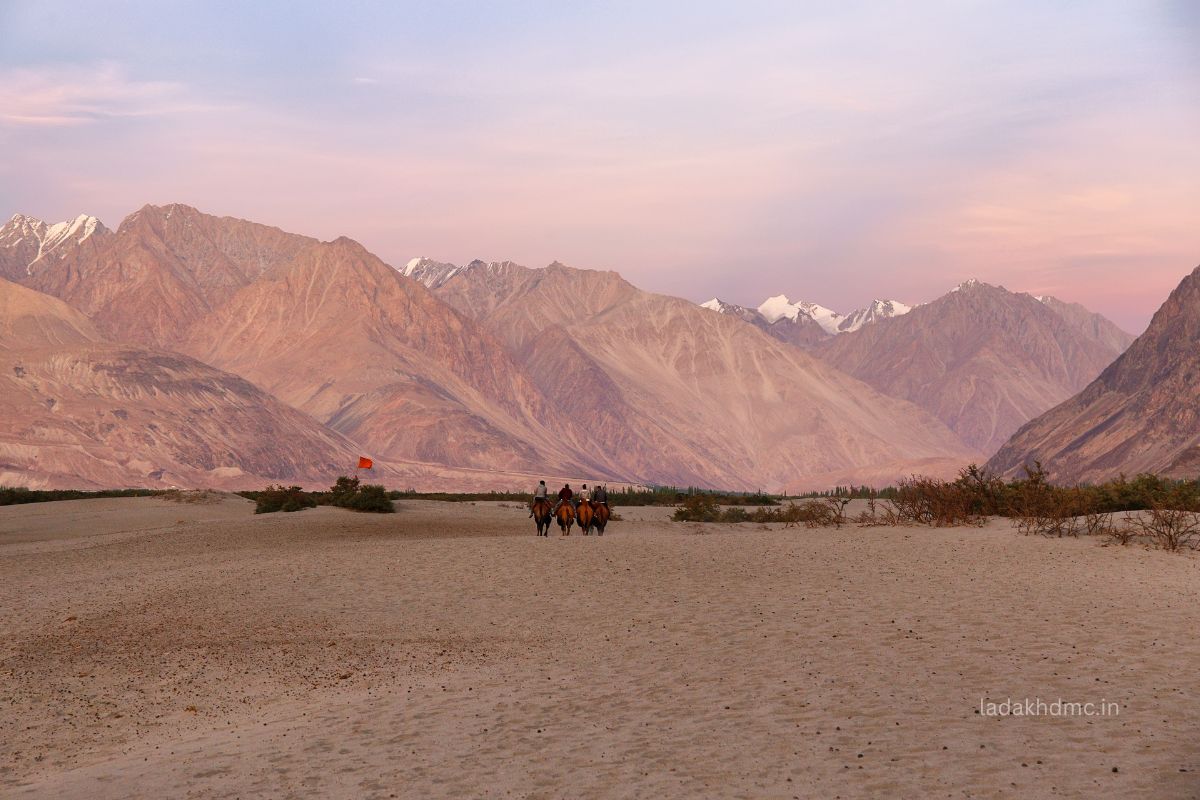 Nubra Valley Ladakh