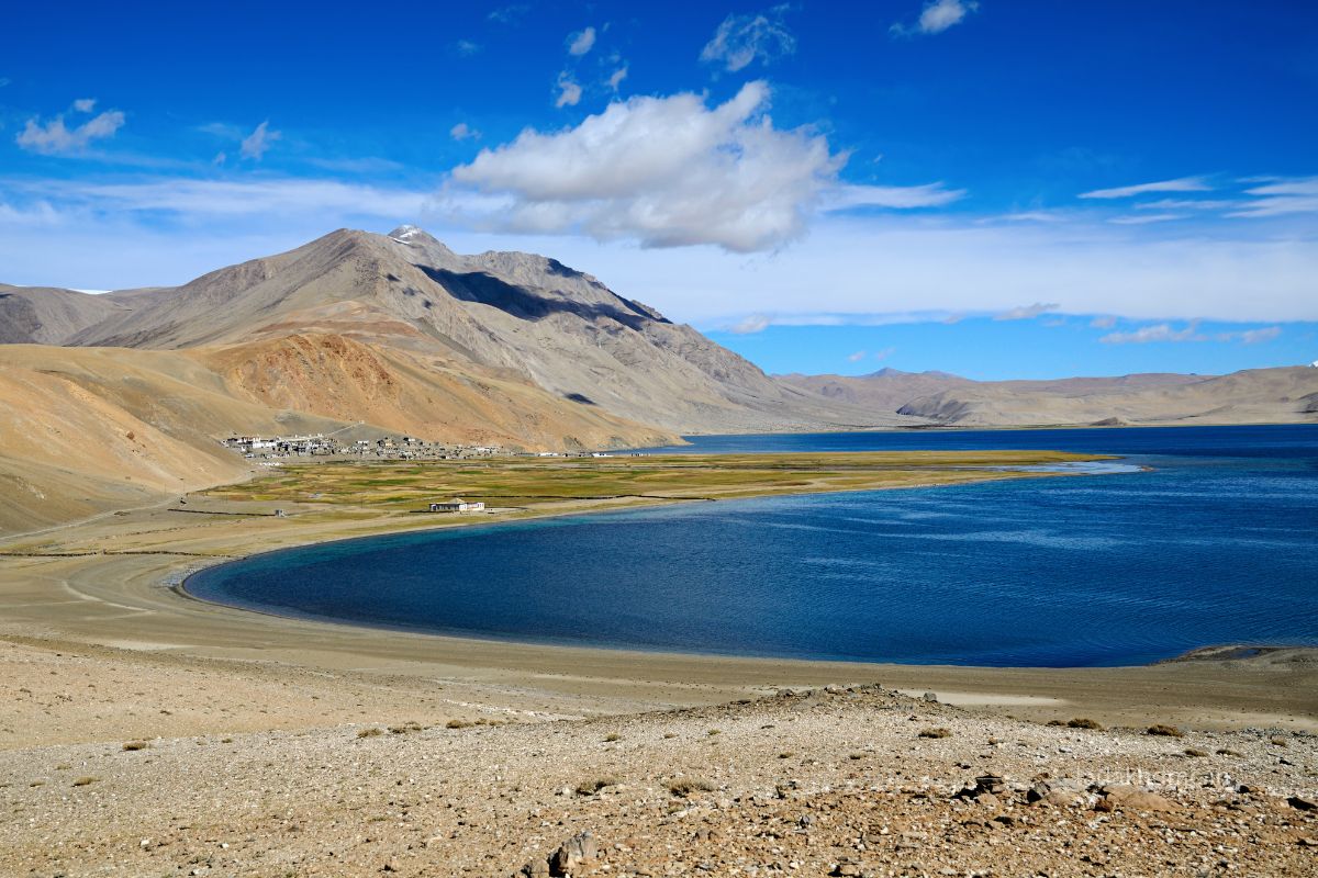 Tso Moriri Ladakh
