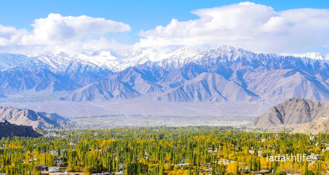 Ladakh Holiday Package Leh to pangong