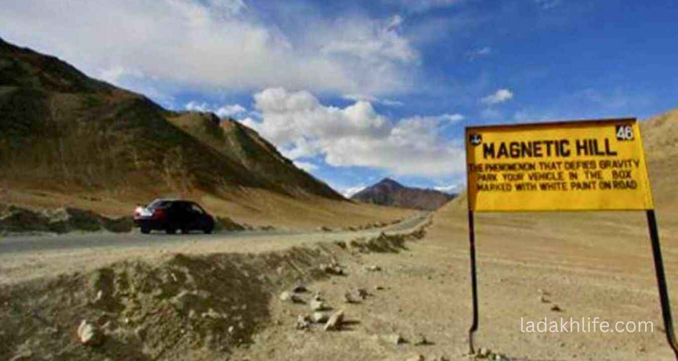 Tourists experiencing Magnetic Hill Ladakh optical illusion where vehicles appear to move uphill