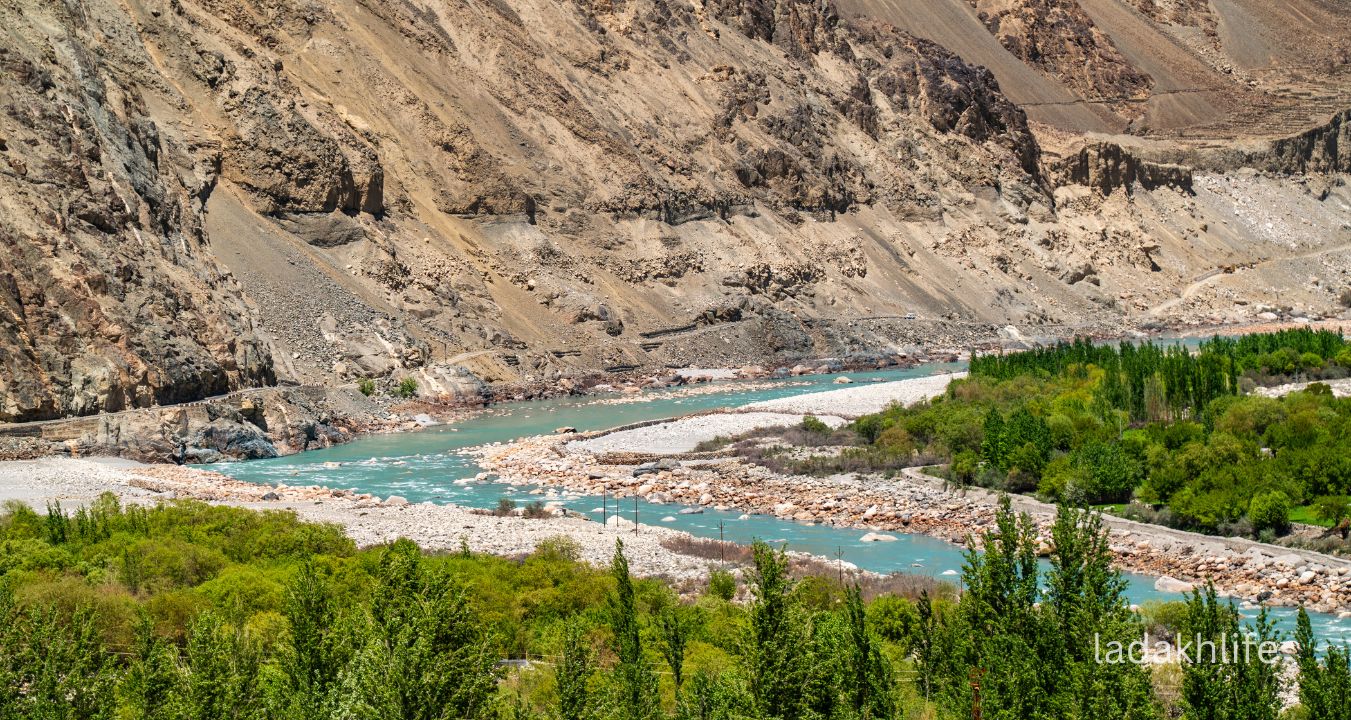Nubra Valley Ladakh