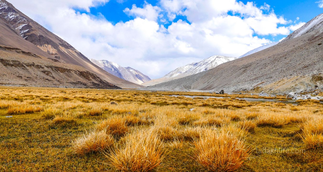 Padum Valley Ladakh