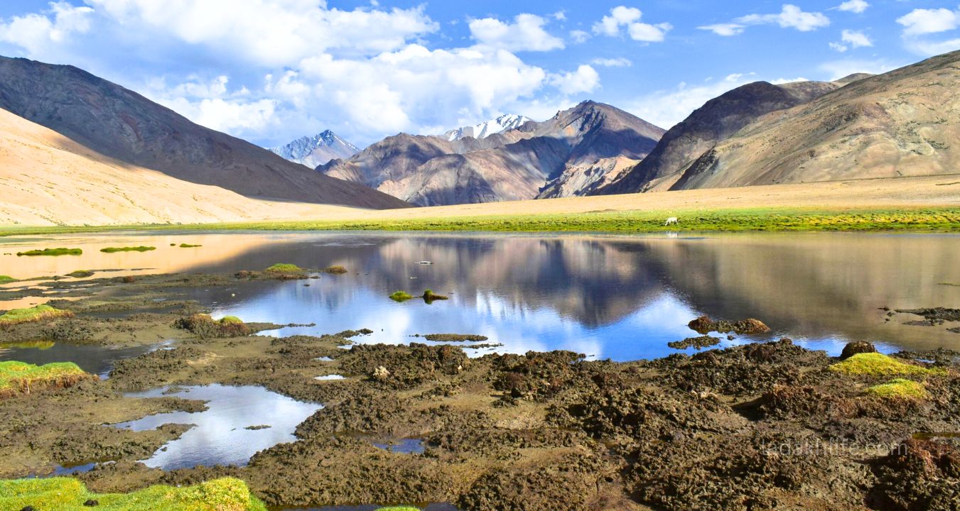 Rupshu Valley Ladakh