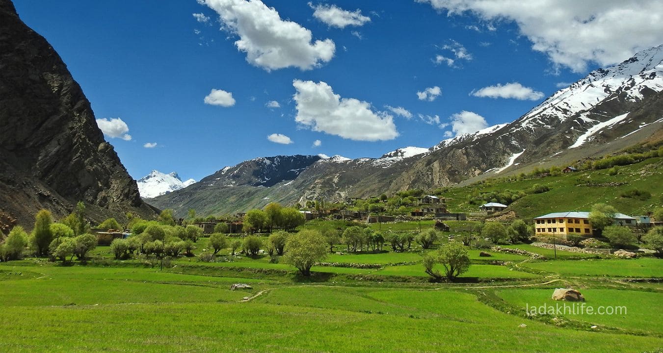 Sankoo Village Ladakh