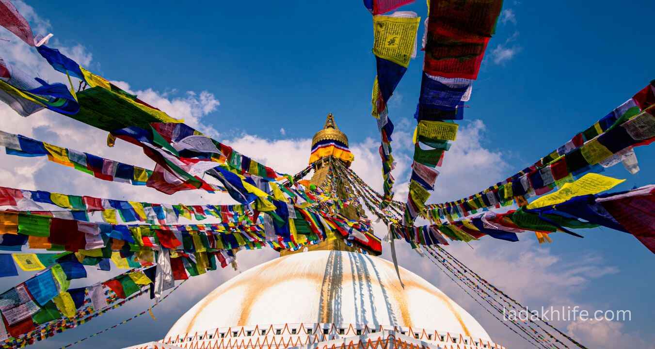 Leh City aerial view from Shanti Stupa