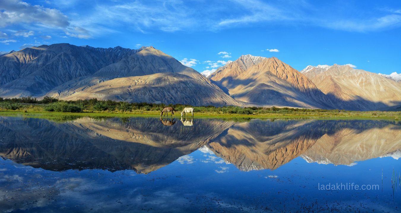 Sham Valley Ladakh