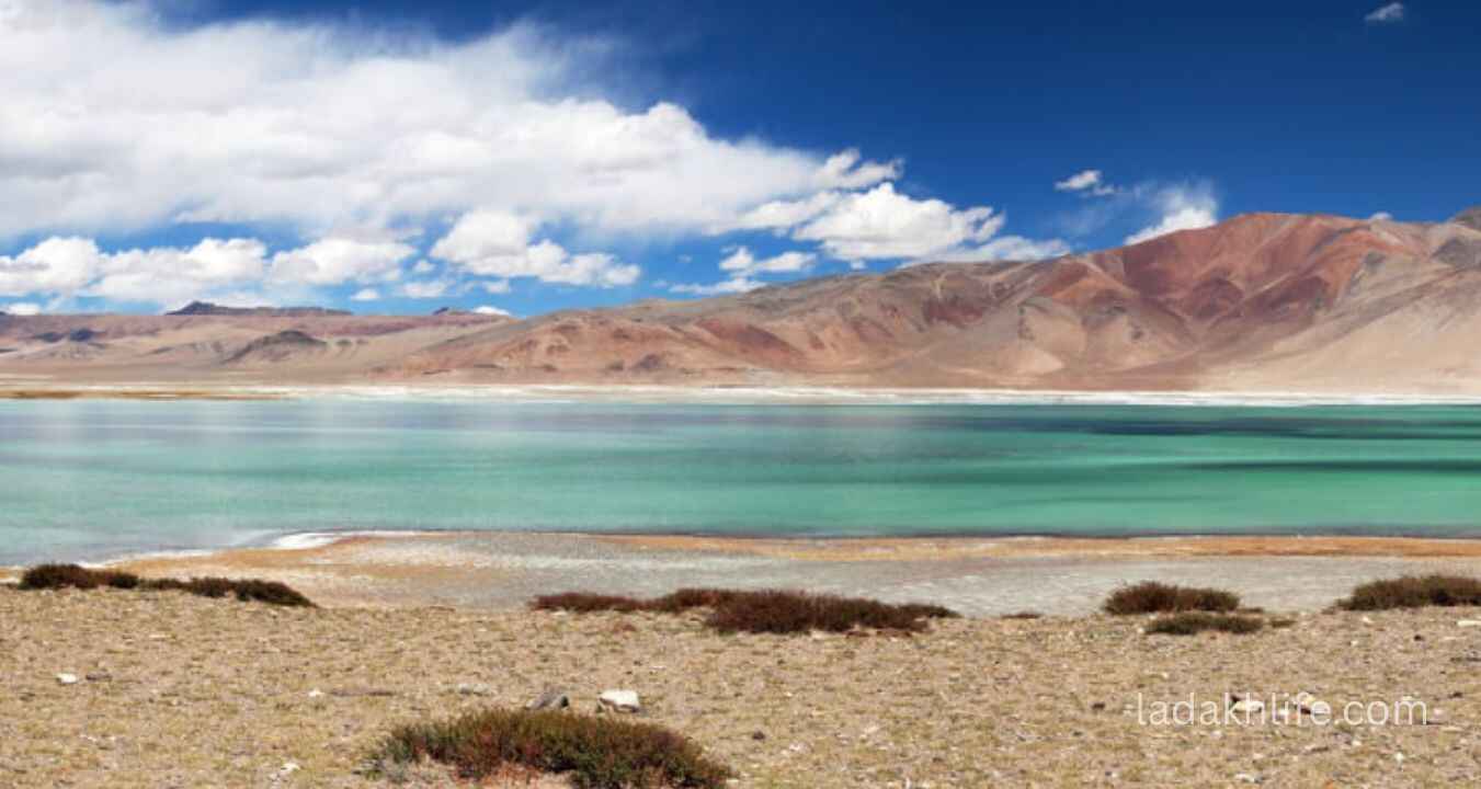 Panoramic view of Tso Kar Lake Ladakh snow mountains and open Himalayan landscape