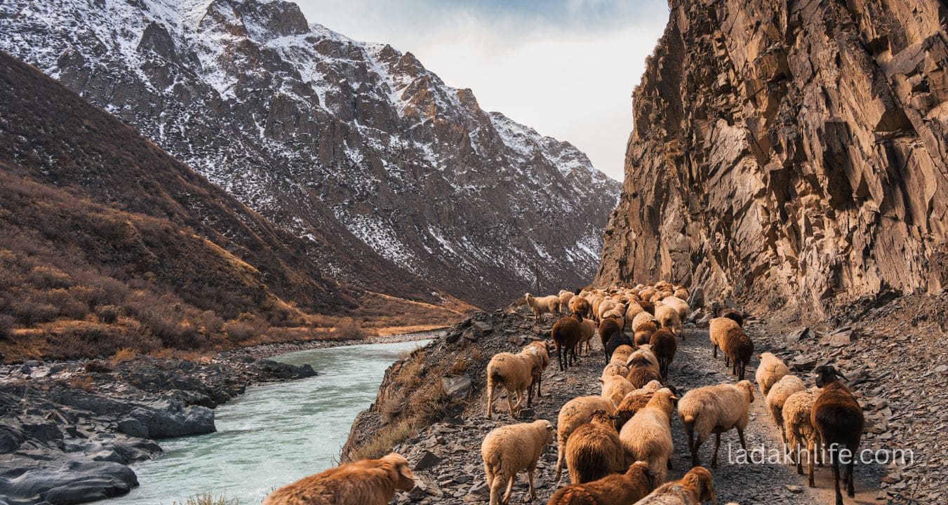 Scenic Himalayan valley views and monasteries near Padum Zanskar Ladakh